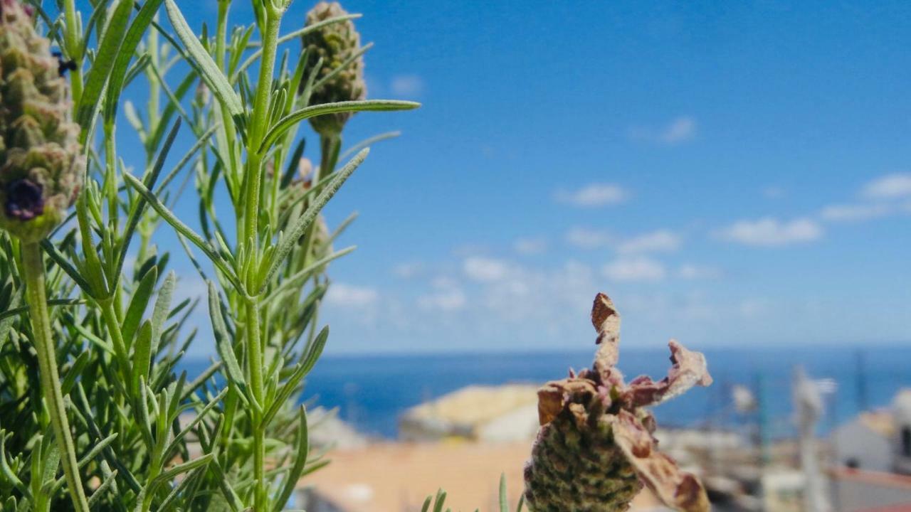Home Holiday Sicily Изола-делле-Феммине Экстерьер фото